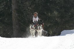 San Bernardino 2008